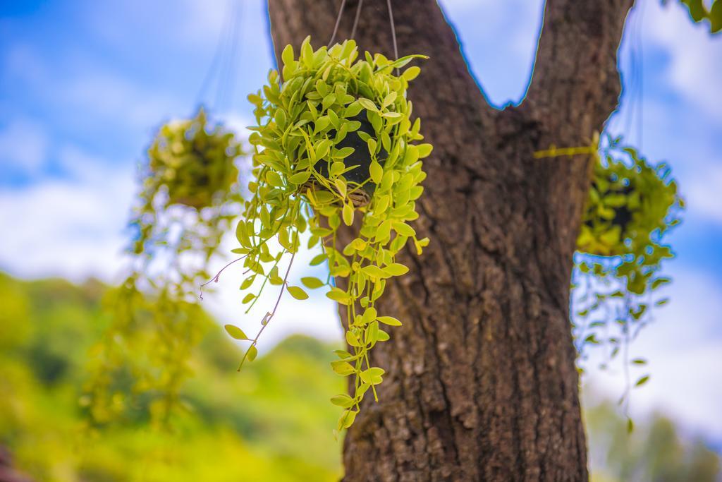 Crystal Wild Resort Panwa Phuket Dış mekan fotoğraf