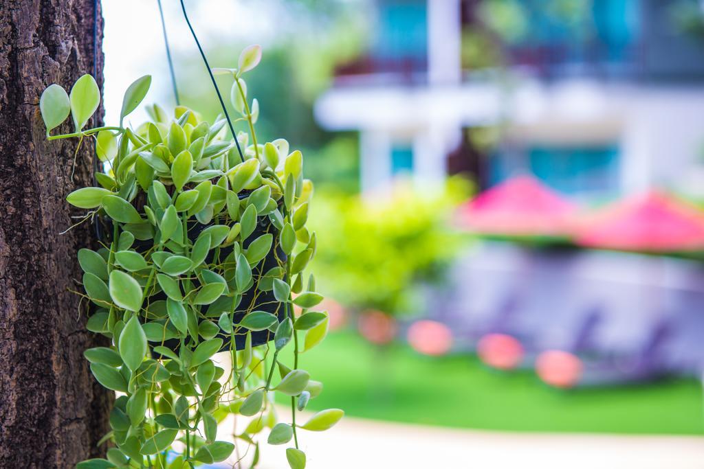 Crystal Wild Resort Panwa Phuket Dış mekan fotoğraf